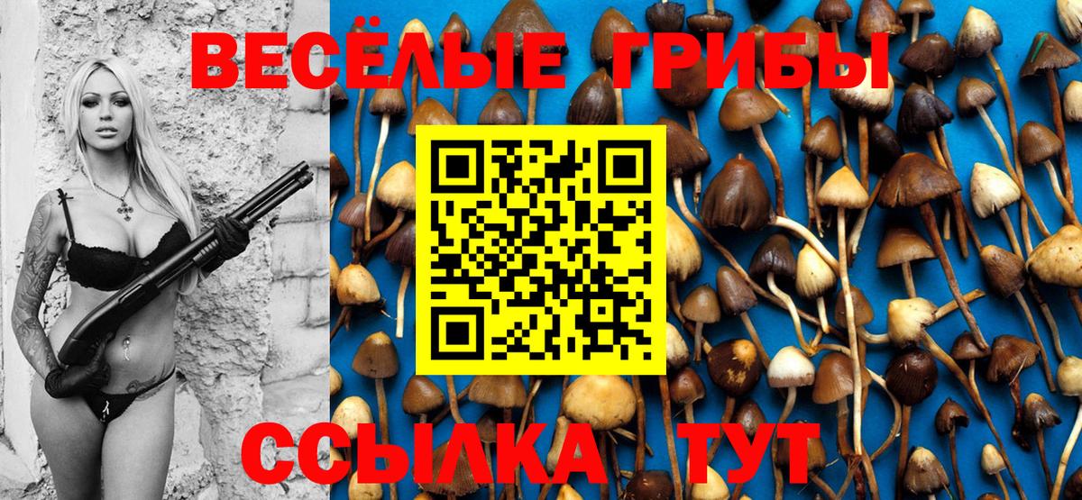 Галлюциногенные грибы MAGIC MUSHROOMS Урус-Мартан